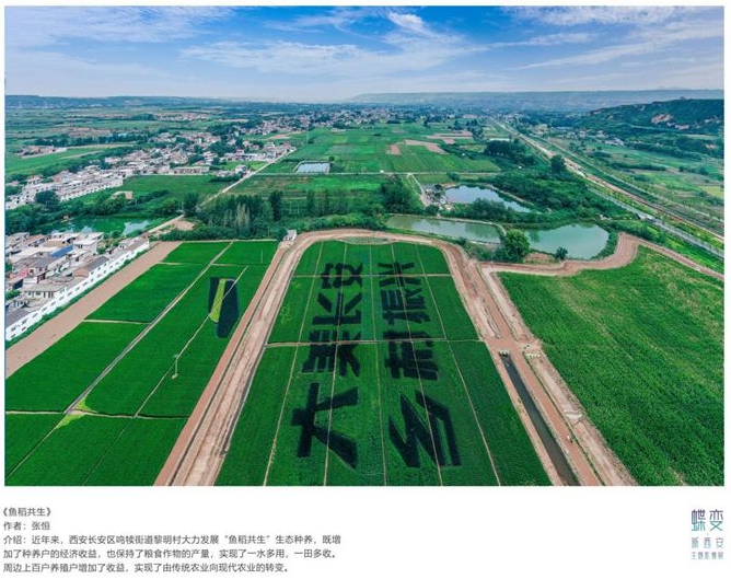 正在上传... 7459f2bf1b2c86098c247b6e346cd9e0.png